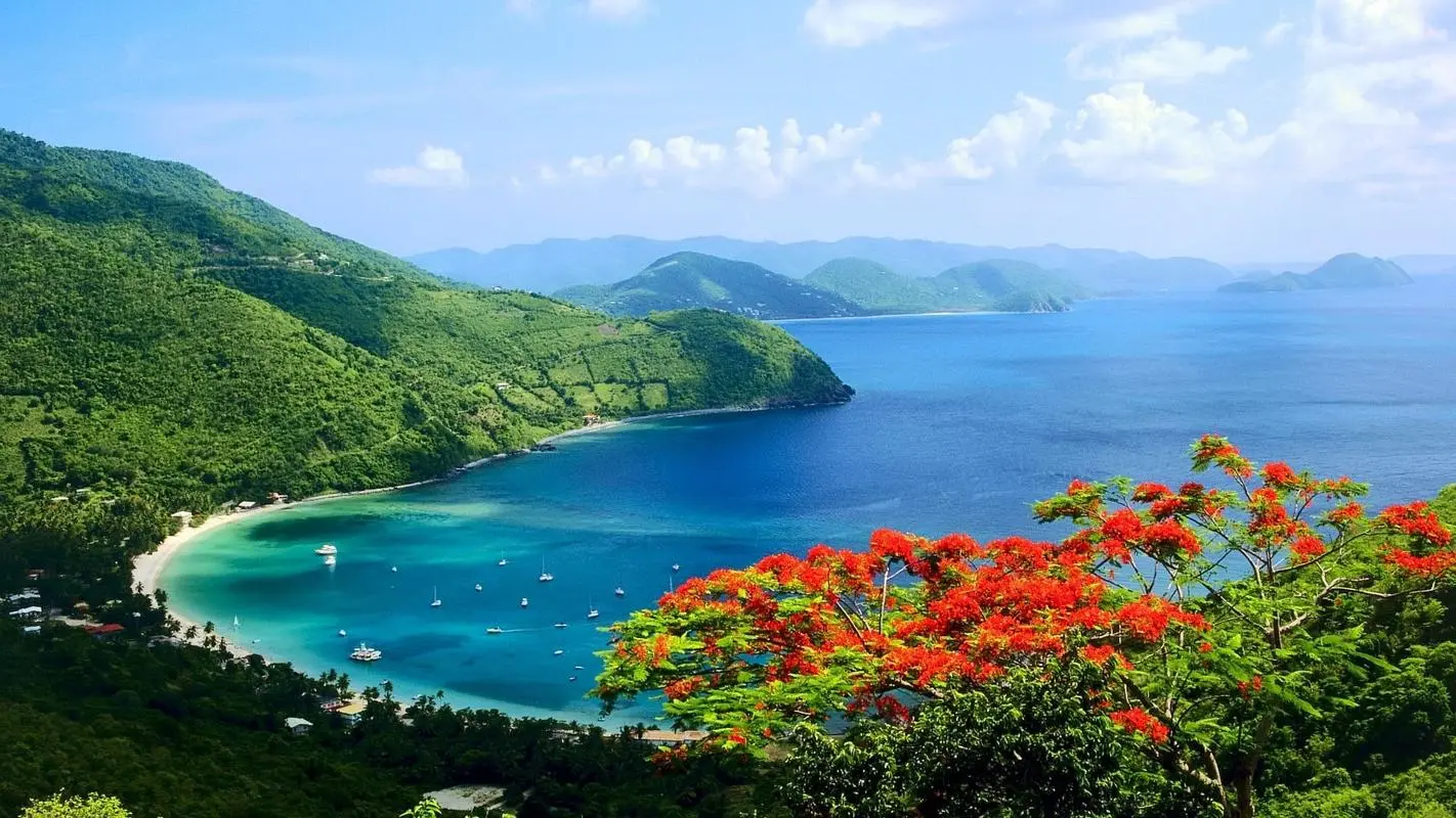 高端信息化自动化